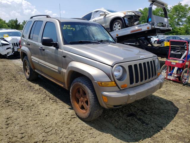 1J4GL38KX5W669646 - 2005 JEEP LIBERTY TAN photo 1