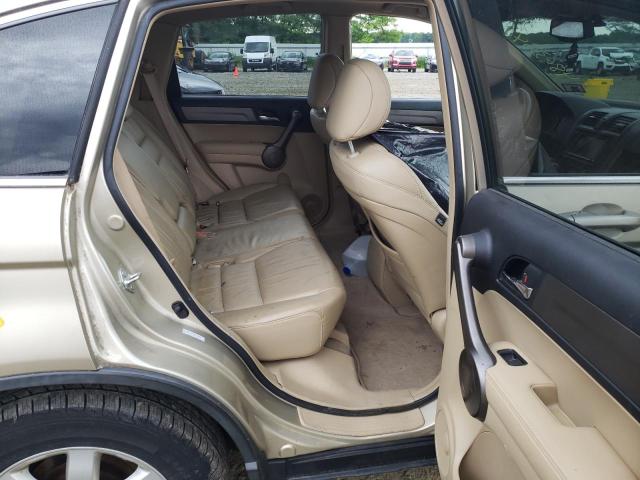 5J6RE487X8L039250 - 2008 HONDA CR-V EXL TAN photo 6