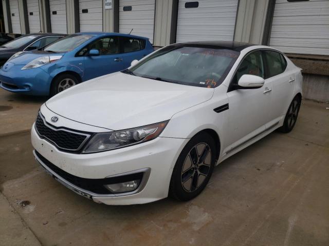 KNAGM4AD4B5000257 - 2011 KIA OPTIMA HYB WHITE photo 2