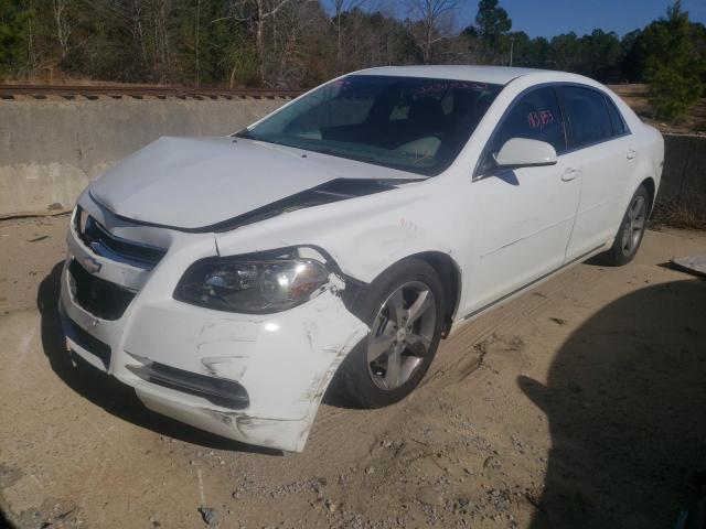 1G1ZC5EU9BF172172 - 2011 CHEVROLET MALIBU 1LT 白色 照片 2