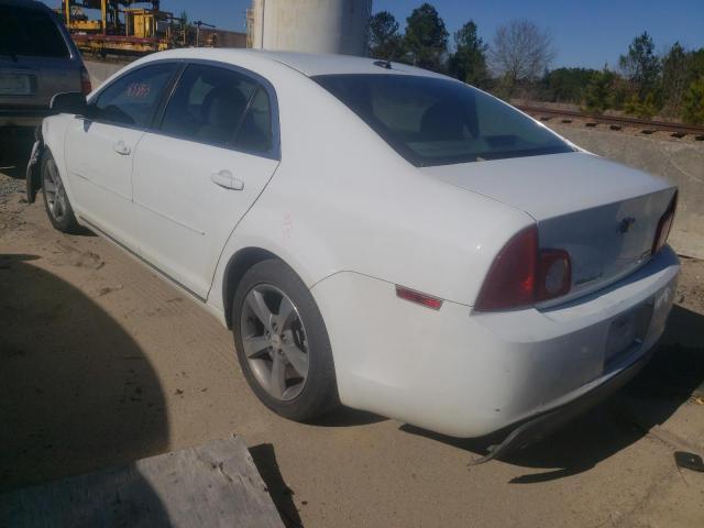 1G1ZC5EU9BF172172 - 2011 CHEVROLET MALIBU 1LT 白色 照片 3