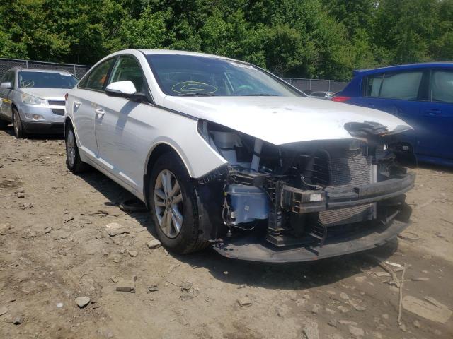 5NPE24AA9FH146116 - 2015 HYUNDAI SONATA ECO WHITE photo 1