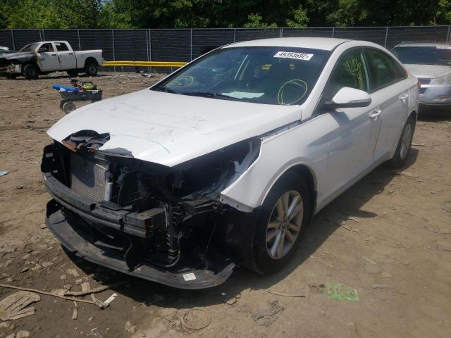 5NPE24AA9FH146116 - 2015 HYUNDAI SONATA ECO WHITE photo 2