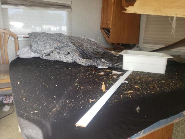 4YDT2742621204811 - 2002 KEYSTONE SPRINTER WHITE photo 5