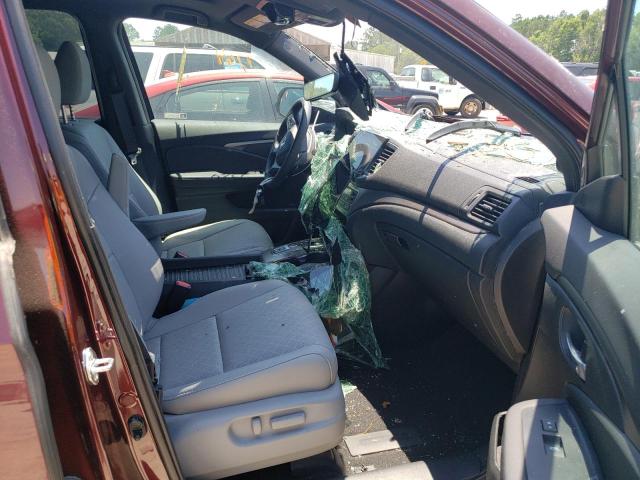 5FNYF7H5XMB010326 - 2021 HONDA PASSPORT E 勃艮第红 照片 5