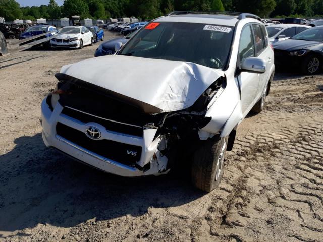 2T3DK4DV3BW064718 - 2011 TOYOTA RAV 4 WHITE photo 2