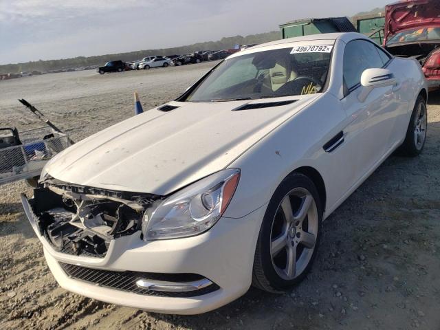 WDDPK4HA5CF035556 - 2012 MERCEDES-BENZ SLK 250 WHITE photo 2