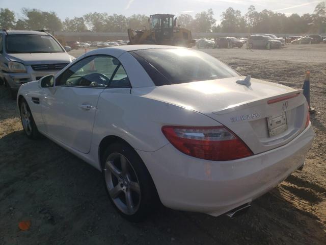 WDDPK4HA5CF035556 - 2012 MERCEDES-BENZ SLK 250 WHITE photo 3