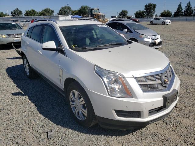 3GYFNAEY1BS567338 - 2011 CADILLAC SRX LUXURY COLLECTION  photo 1