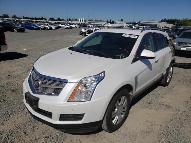 3GYFNAEY1BS567338 - 2011 CADILLAC SRX LUXURY COLLECTION  photo 2