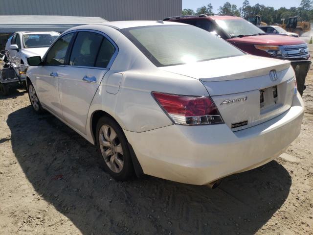 5KBCP3F82AB005650 - 2010 HONDA ACCORD EXL WHITE photo 3