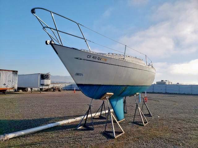 XLY280120781B - 1981 ISLA BOAT TWO TONE photo 2