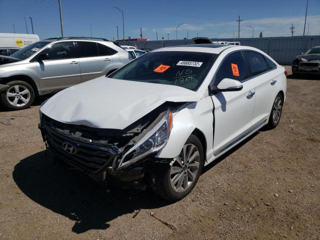 5NPE34AF8HH591281 - 2017 HYUNDAI SONATA SPORT  Foto 2