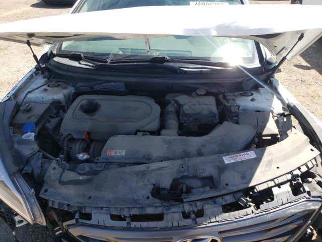 5NPE34AF8HH591281 - 2017 HYUNDAI SONATA SPORT  photo 7