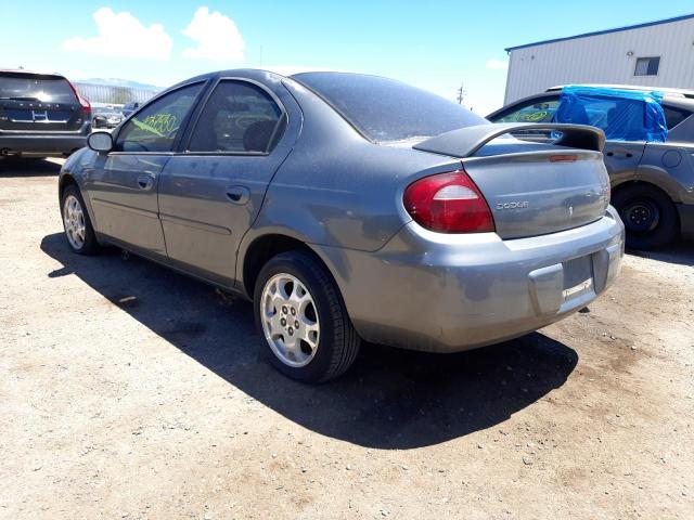 1B3ES56C55D203420 - 2005 DODGE NEON GRAY photo 3