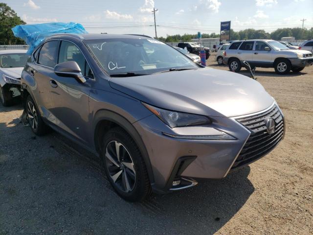 JTJBJRBZ3K2119767 - 2019 LEXUS NX 300H GRAY photo 1