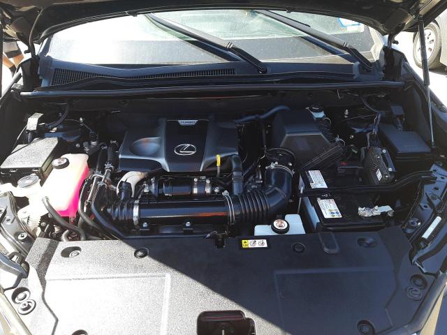 JTJAARBZ3L2166701 - 2020 LEXUS NX 300 BAS 黑色 照片 7