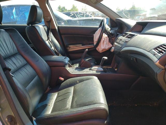 1HGCP36858A010067 - 2008 HONDA ACCORD EXL GREEN photo 5