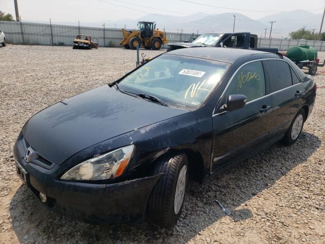 JHMCM56384C027630 - 2004 HONDA ACCORD LX BLACK photo 2