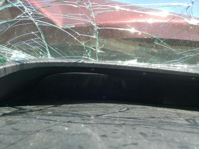 19XFB2F97EE268788 - 2014 HONDA CIVIC EXL Bordo foto 8