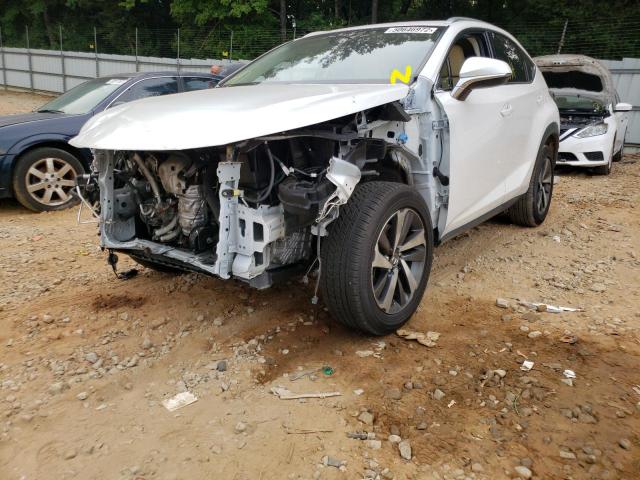 JTJYARBZ9J2092504 - 2018 LEXUS NX 300 BAS 白色 照片 2