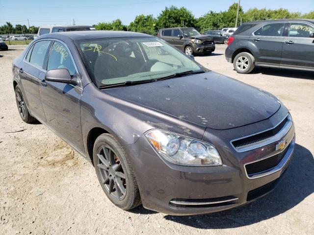 1G1ZC5EB9A4131162 - 2010 CHEVROLET MALIBU 1LT GRAY photo 1