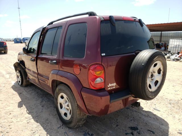 1J4GL58K83W503909 - 2003 JEEP LIBERTY LI BURGUNDY photo 3