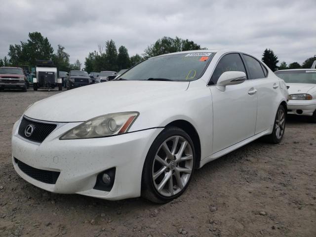 JTHBF5C20C5168664 - 2012 LEXUS IS 250 WHITE photo 2