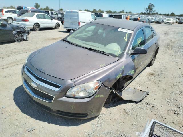 1G1ZB5EB9A4137918 - 2010 CHEVROLET MALIBU LS GRAY photo 2