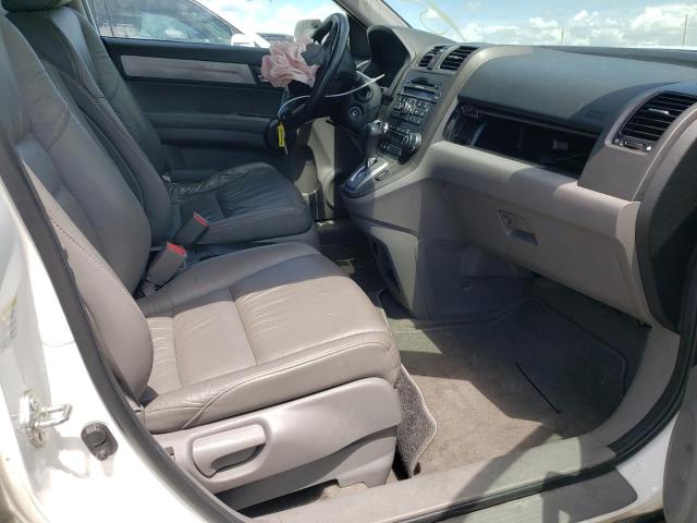 5J6RE3H70AL001347 - 2010 HONDA CR-V EXL  photo 5