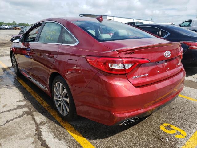 5NPE34AF5FH044434 - 2015 HYUNDAI SONATA SPO RED photo 3