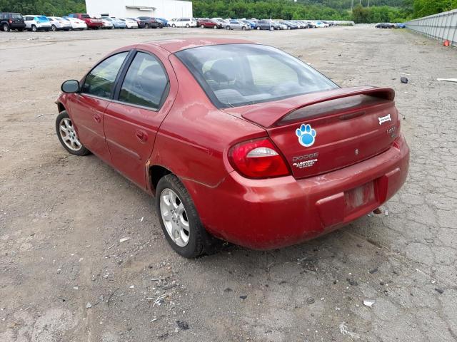 1B3ES56C85D186712 - 2005 DODGE NEON SXT RED photo 3