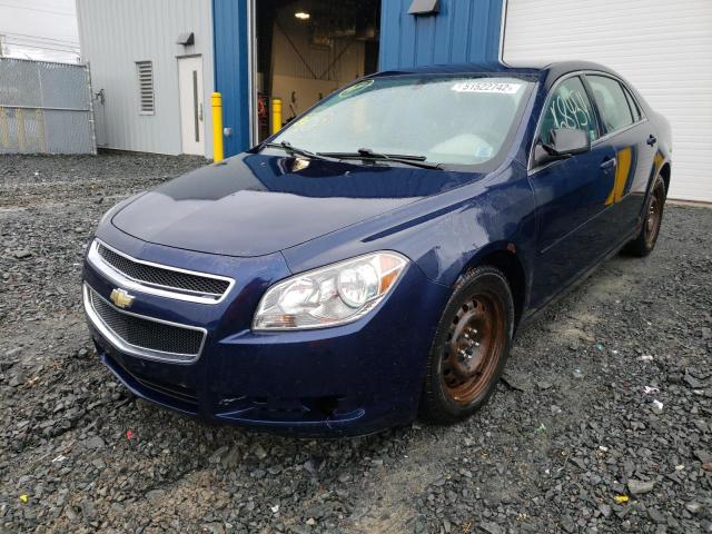 1G1ZB5EU5BF286320 - 2011 CHEVROLET MALIBU LS  photo 2