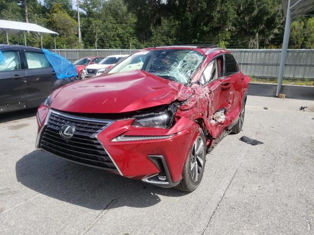 JTJGARBZXM5034142 - 2021 LEXUS NX 300 BAS 红色 照片 2