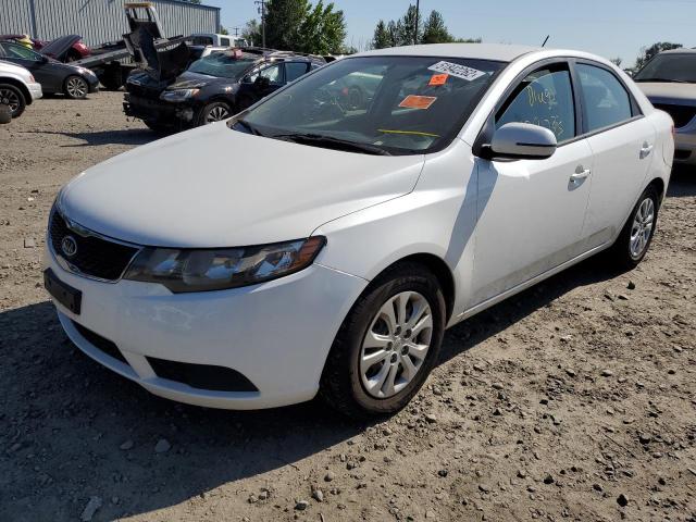 KNAFU4A23B5350621 - 2011 KIA FORTE EX WHITE photo 2