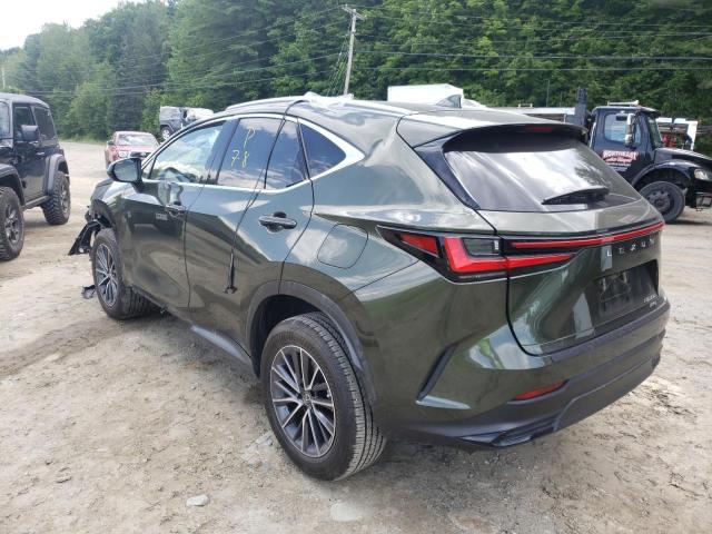 JTJGGCEZ6N2000760 - 2022 LEXUS NX 350 GREEN photo 3