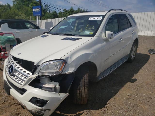 4JGBB8GBXBA706491 - 2011 MERCEDES-BENZ ML 350 4MA WHITE photo 2