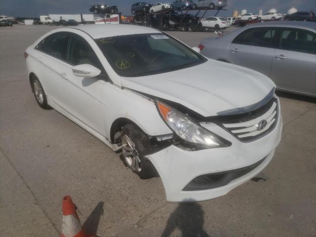 5NPEB4AC7EH880723 - 2014 HYUNDAI SONATA GLS WHITE photo 1