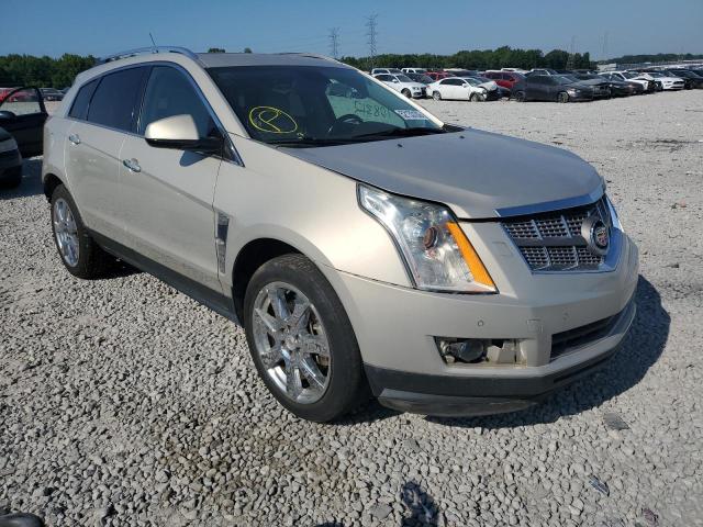 3GYFNBEY0AS522198 - 2010 CADILLAC SRX PERFOR 金色 照片 1