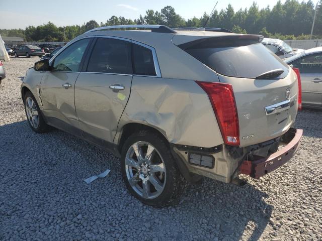 3GYFNBEY0AS522198 - 2010 CADILLAC SRX PERFOR 金色 照片 9