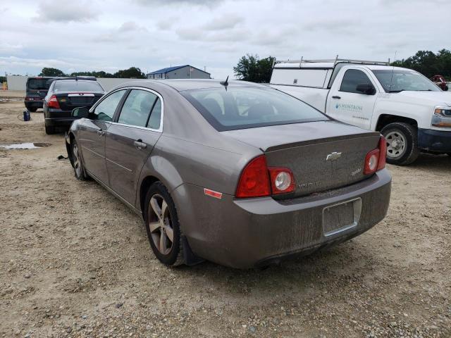 1G1ZC5E15BF217033 - 2011 CHEVROLET MALIBU 1LT ყავისფერი ფოტო 3