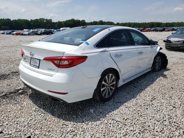 5NPE34AF2GH323566 - 2016 HYUNDAI SONATA SPO WHITE photo 4