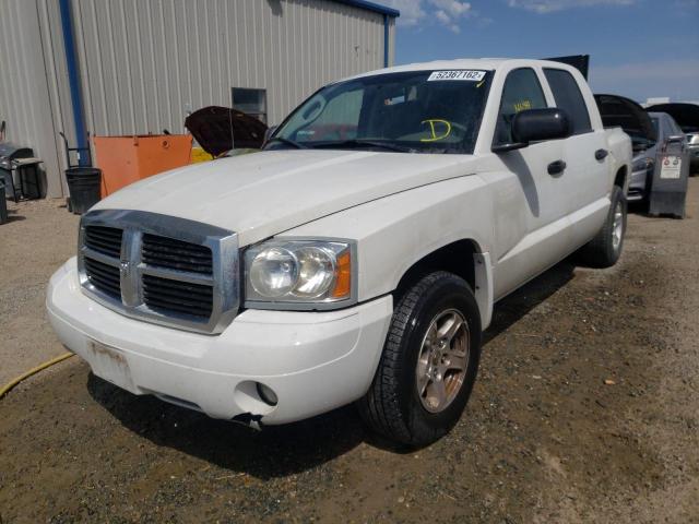 1D7HW48K87S268085 - 2007 DODGE DAKOTA QUA WHITE photo 2