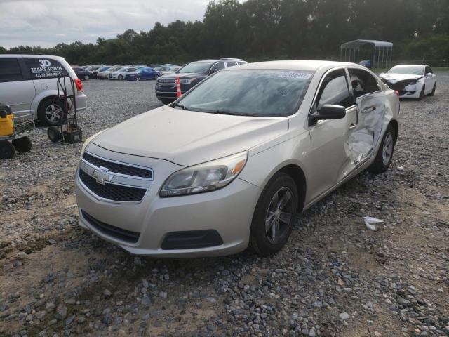 1G11B5SA9DF218936 - 2013 CHEVROLET MALIBU LS TAN photo 2