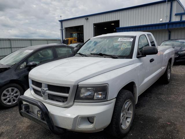 1D7RW3BP1AS221149 - 2010 DODGE DAKOTA SXT WHITE photo 2