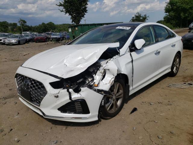 5NPE34AF7KH811873 - 2019 HYUNDAI SONATA LIM WHITE photo 2