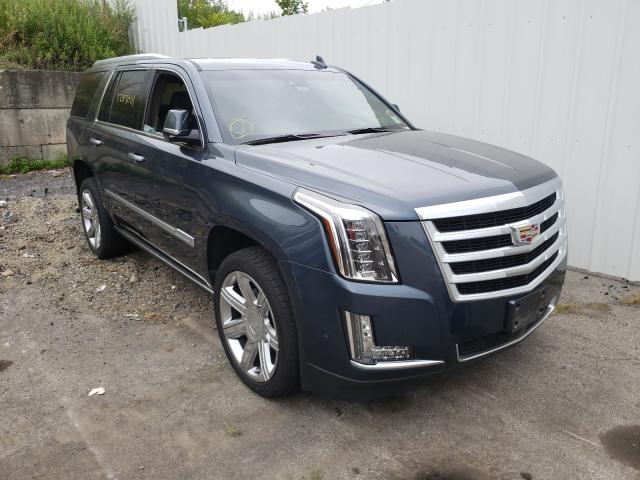 1GYS4CKJ1KR252160 - 2019 CADILLAC ESCALADE P BLACK photo 1