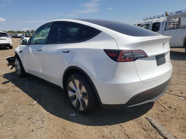 5YJYGDEE0MF227805 - 2021 TESLA MODEL Y WHITE photo 3