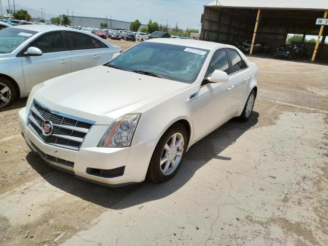 1G6DU57V890101887 - 2009 CADILLAC CTS HI FEA CREAM photo 2