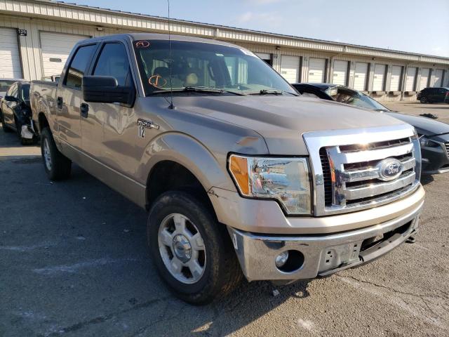 1FTFW1EF3BFA21209 - 2011 FORD F-150 TAN photo 1